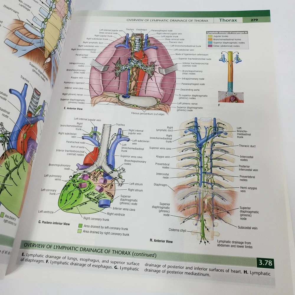 Grant's Atlas of Anatomy by Anne M. R. Agur & Arthur F. Dalley Medical Books
